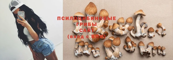 прущий лед Алексин