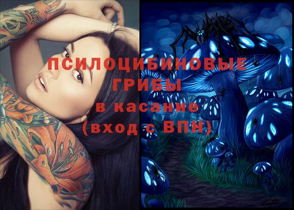 прущий лед Алексин