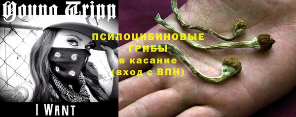 спиды Алексеевка
