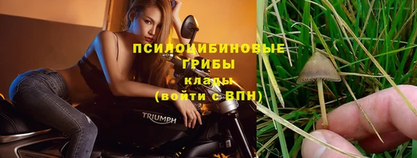 бутират Алзамай