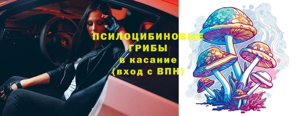 прущий лед Алексин
